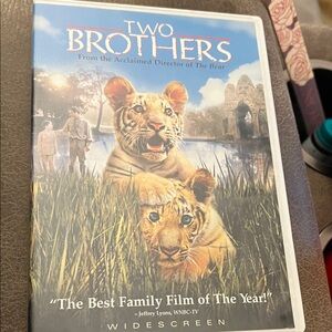 Two Brothers Film DVD